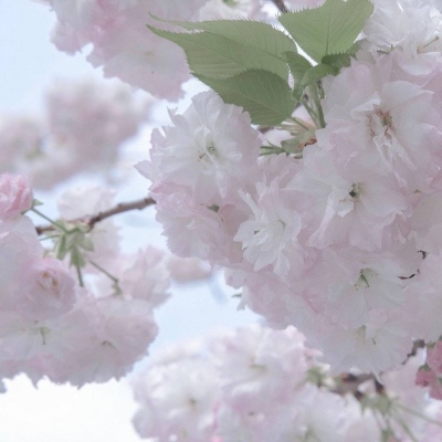 原创Furry角色设计思路兽圈群